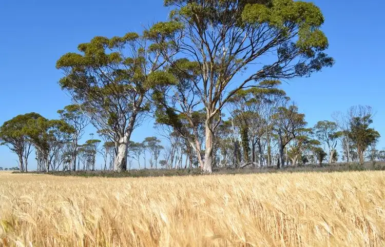 Fourth view of Homely rural property listing, . 'Manns', Tammin WA 6409