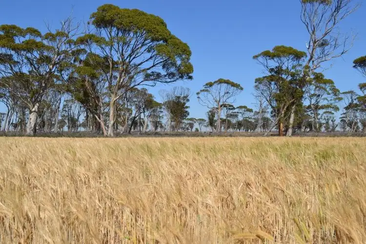 Fifth view of Homely rural property listing, . 'Manns', Tammin WA 6409