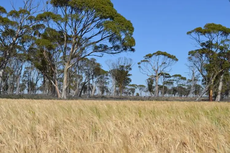 Seventh view of Homely rural property listing, . 'Manns', Tammin WA 6409