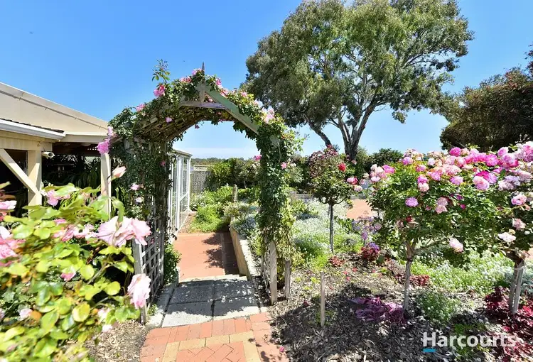 Third view of Homely house listing, 12 Muir Place, Halls Head WA 6210
