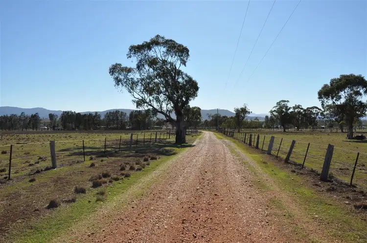 Main view of Homely rural property listing, 66 Nandowra Rd, Scone NSW 2337
