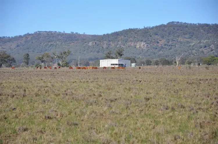 Seventh view of Homely rural property listing, 66 Nandowra Rd, Scone NSW 2337