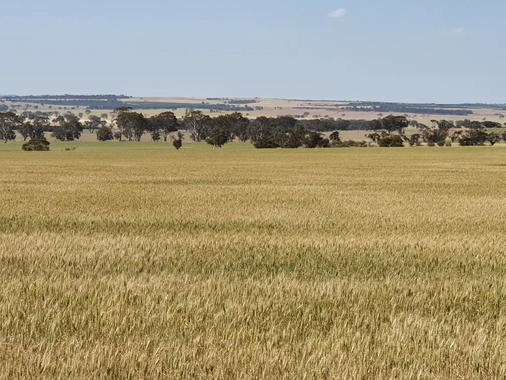 Main view of Homely rural property listing, Address available on request