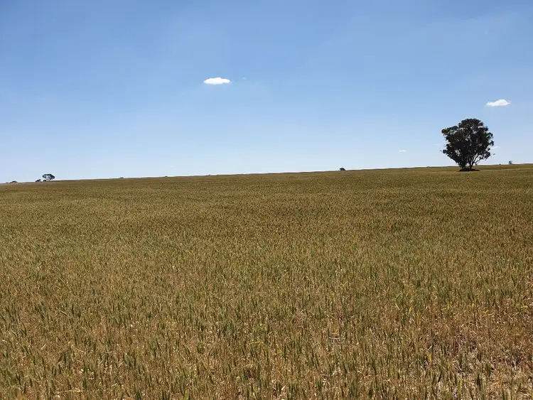 Second view of Homely rural property listing, Address available on request