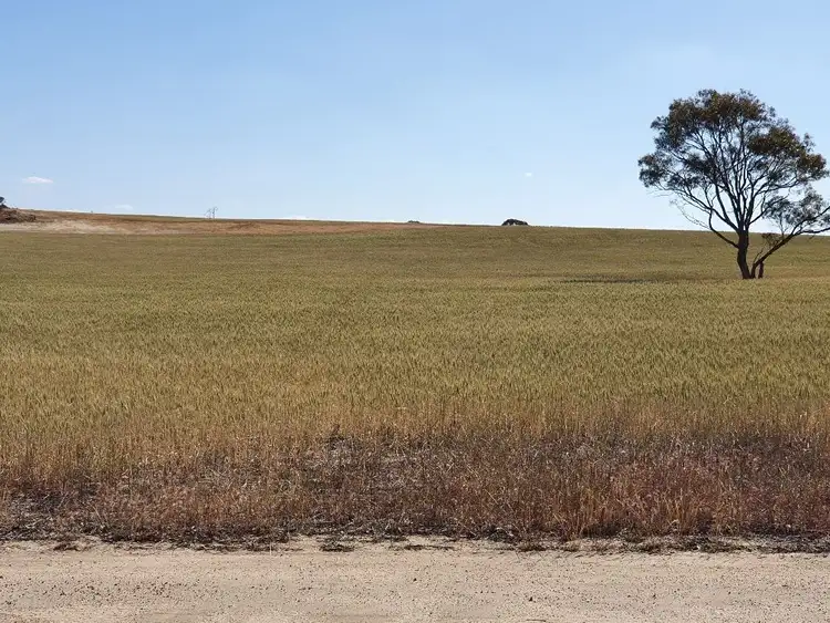 Third view of Homely rural property listing, Address available on request