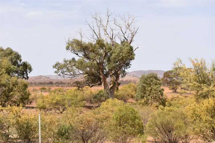 Second view of Homely rural property listing, 1259 Maron road, Cradock SA 5432