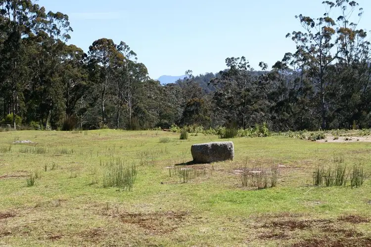 Fourth view of Homely land listing, 833 Lottah Road, Lottah TAS 7216