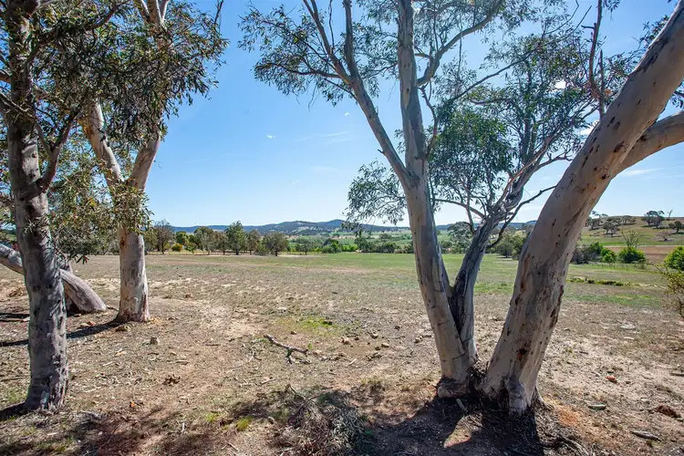 Seventh view of Homely rural property listing, Address available on request