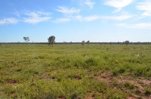 Fourth view of Homely rural property listing, * Redford's, Hermidale NSW 2831