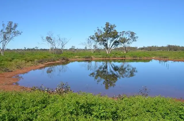 * Spring Valley, Hermidale NSW 2831