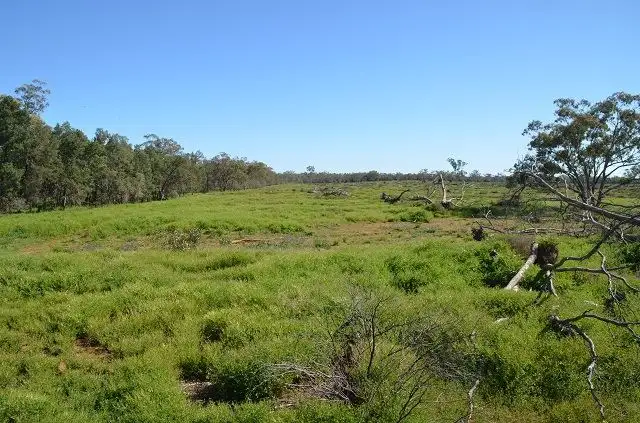 Second view of Homely rural property listing, * Spring Valley, Hermidale NSW 2831
