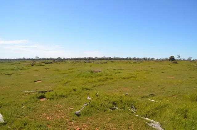 Third view of Homely rural property listing, * Spring Valley, Hermidale NSW 2831