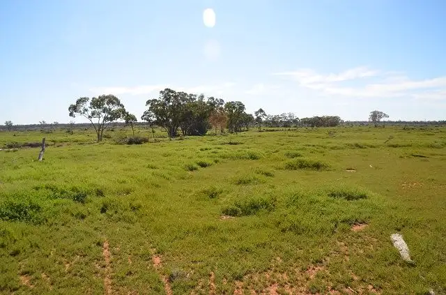 Fourth view of Homely rural property listing, * Spring Valley, Hermidale NSW 2831