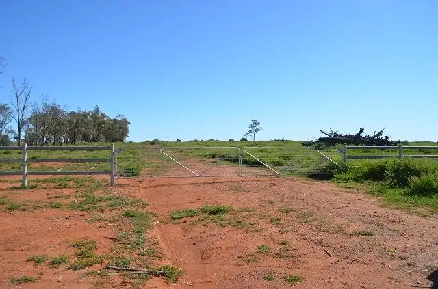 Fifth view of Homely rural property listing, * Spring Valley, Hermidale NSW 2831