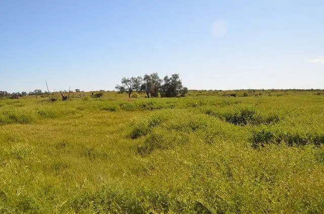 Sixth view of Homely rural property listing, * Spring Valley, Hermidale NSW 2831