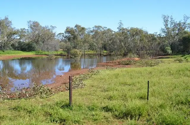 Second view of Homely rural property listing, * Shady Camp, Hermidale NSW 2831