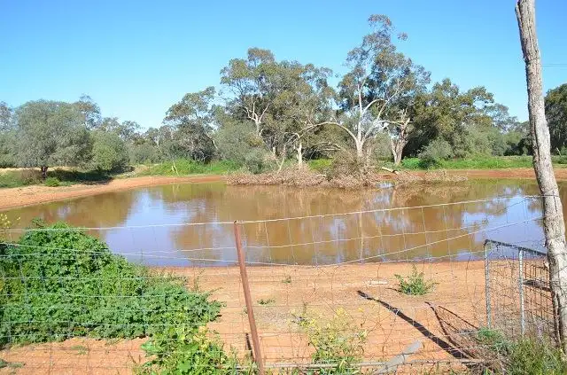 Sixth view of Homely rural property listing, * Shady Camp, Hermidale NSW 2831