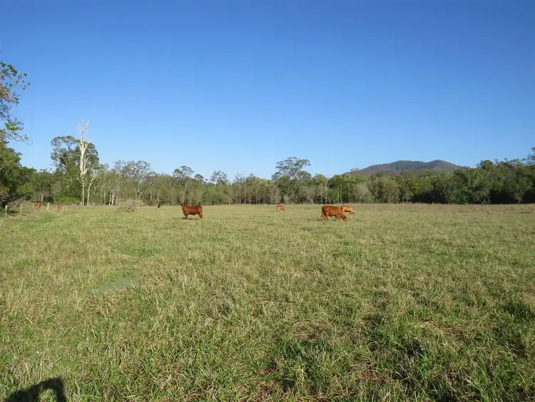 Second view of Homely rural property listing, 1165 Blackmans Gap road, Miriam Vale QLD 4677