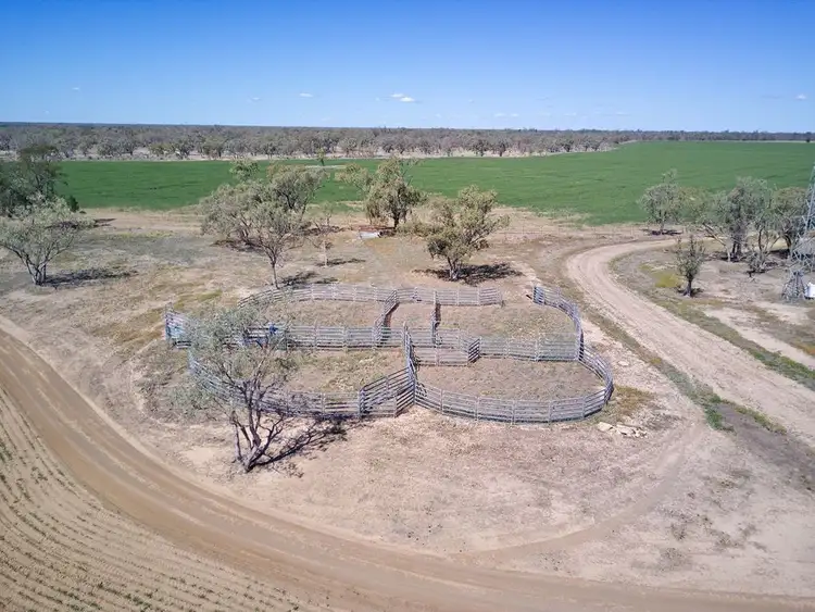 Third view of Homely rural property listing, . Barwon River Road, Collarenebri NSW 2833
