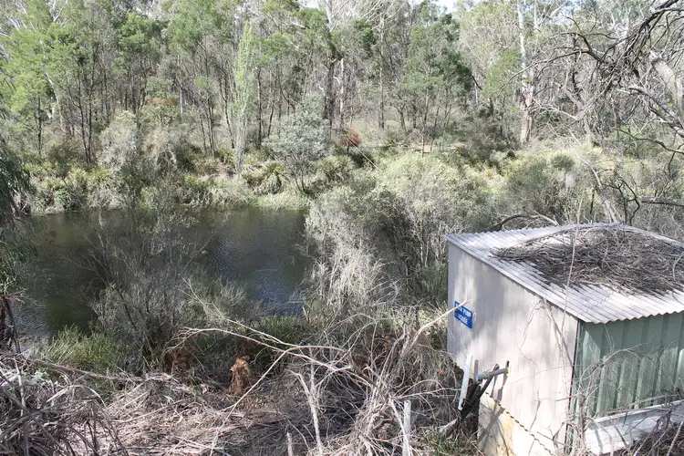 Seventh view of Homely rural property listing, 7802 Nerriga Road, Braidwood NSW 2622