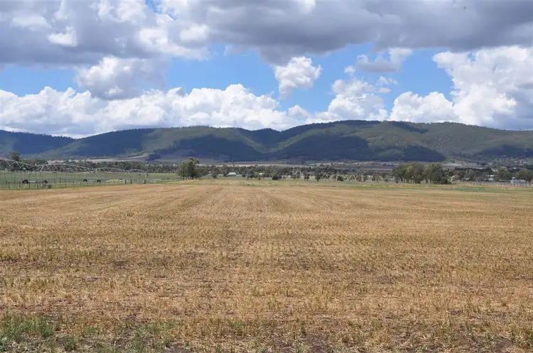 Main view of Homely rural property listing, 3133 New England Hwy, Scone NSW 2337