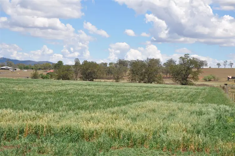 Fourth view of Homely rural property listing, 3133 New England Hwy, Scone NSW 2337