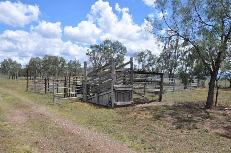 Fifth view of Homely rural property listing, 3133 New England Hwy, Scone NSW 2337