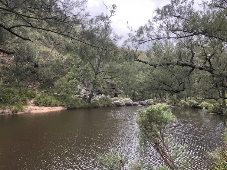 326 Pyes Creek Road, Bolivia NSW 2372