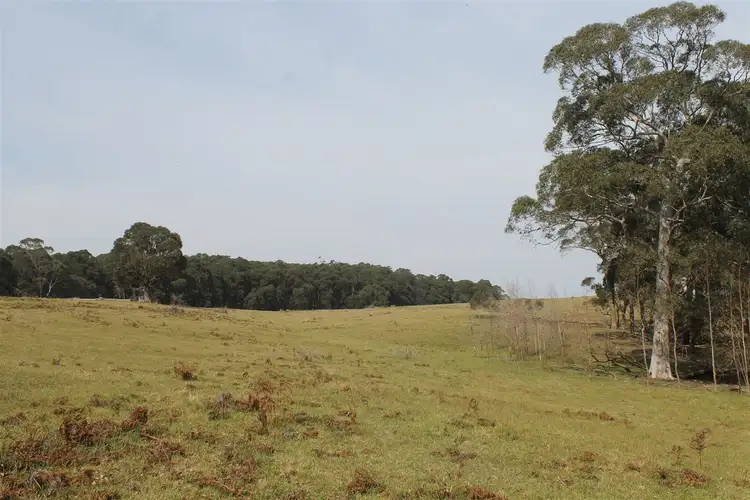 Third view of Homely rural property listing, 4336 Kings Highway, Braidwood NSW 2622
