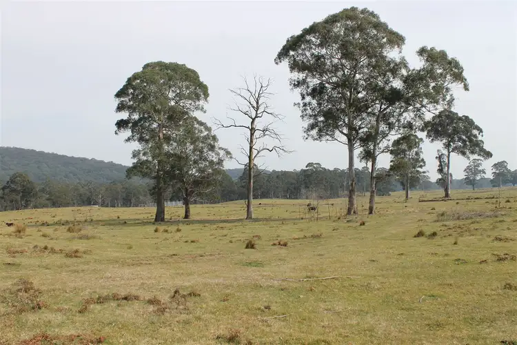 Fourth view of Homely rural property listing, 4336 Kings Highway, Braidwood NSW 2622