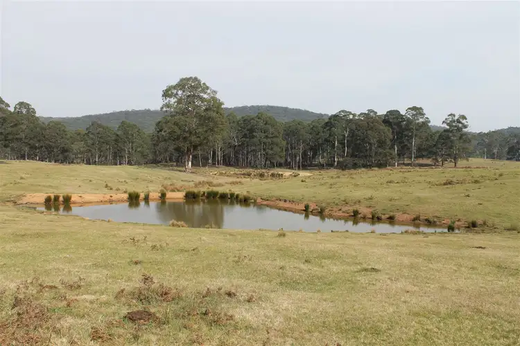 Sixth view of Homely rural property listing, 4336 Kings Highway, Braidwood NSW 2622