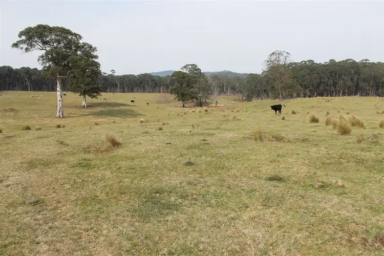 Seventh view of Homely rural property listing, 4336 Kings Highway, Braidwood NSW 2622