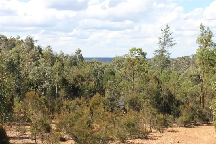 Main view of Homely rural property listing, Corner Nerriga and Hobbs Creek Roads, Braidwood NSW 2622