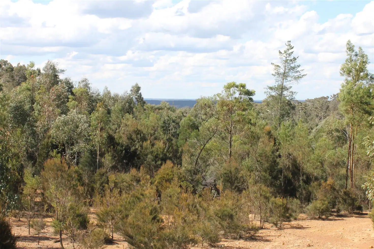 Main view of Homely rural property listing, Corner Nerriga and Hobbs Creek Roads, Braidwood NSW 2622