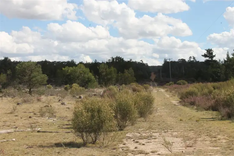 Third view of Homely rural property listing, Corner Nerriga and Hobbs Creek Roads, Braidwood NSW 2622