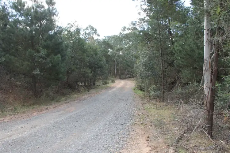 Sixth view of Homely rural property listing, Corner Nerriga and Hobbs Creek Roads, Braidwood NSW 2622