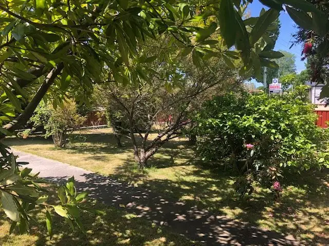 Second view of Homely house listing, 63 Tully Street, St Helens TAS 7216