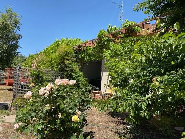 Second view of Homely house listing, 33 Hillman Street, Darkan WA 6392