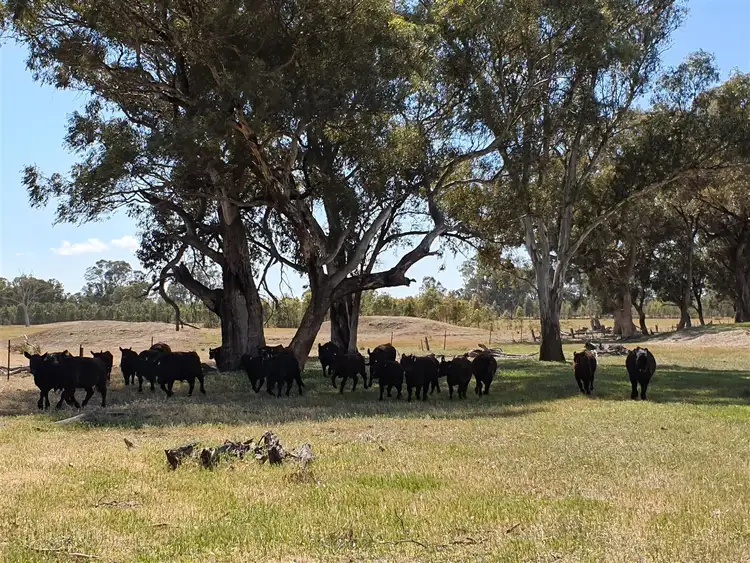Third view of Homely rural property listing, 000 Riggs Creek Road, Euroa VIC 3666