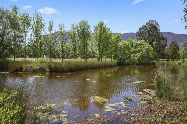 Fourth view of Homely rural property listing, 2655 Maroondah Highway, Taggerty VIC 3714