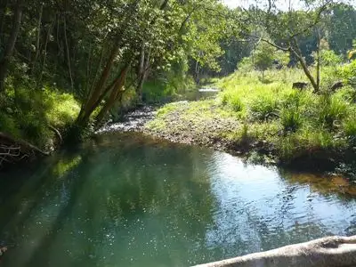 Third view of Homely rural property listing, 321 Burringbar Road, Burringbar NSW