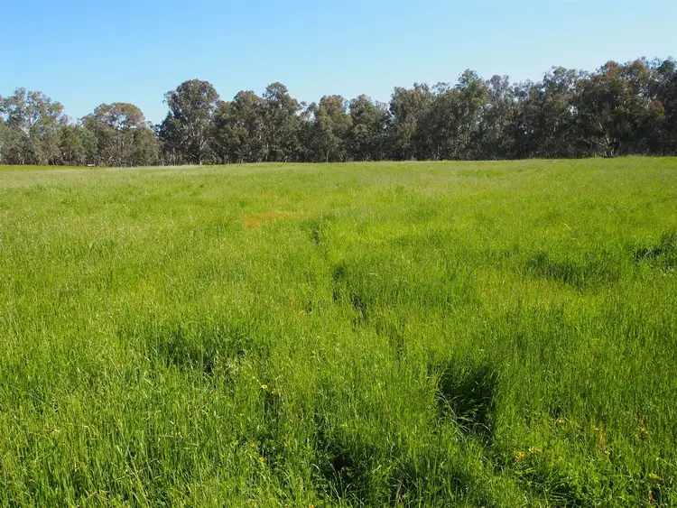 Second view of Homely rural property listing, lot2/564 Arnott Rd, Benalla VIC 3672