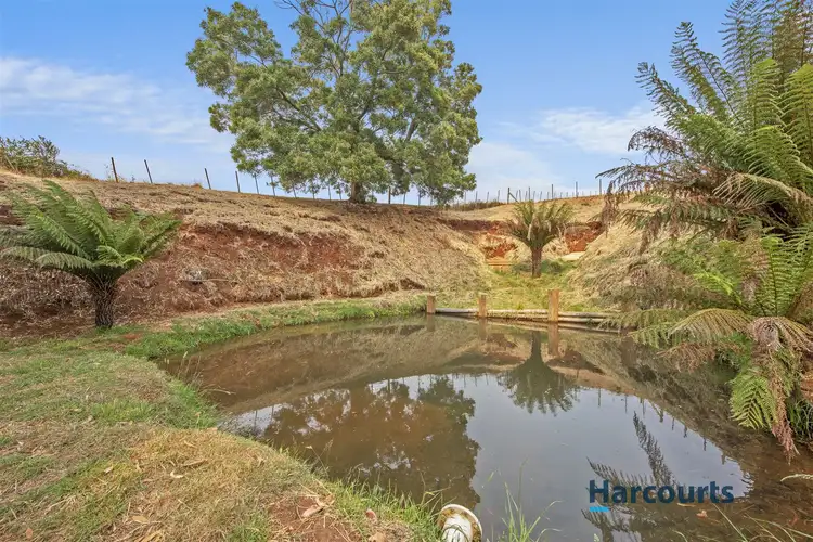 Sixth view of Homely house listing, 360 Thompsons Road, Forth TAS 7310