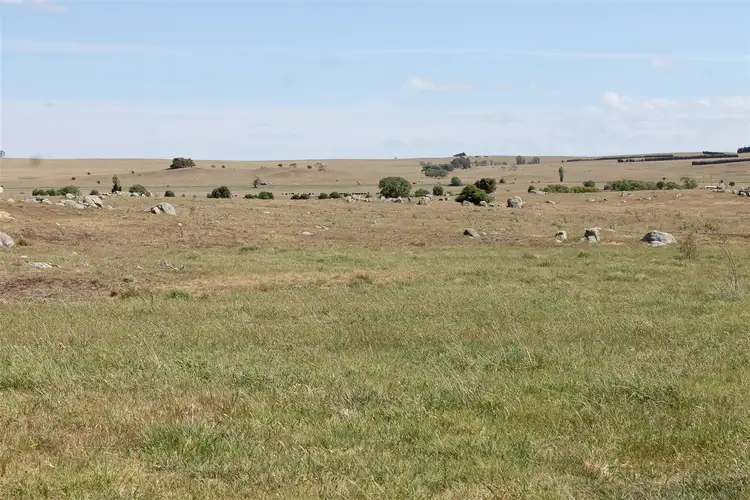 Third view of Homely rural property listing, 5420 Kings Highway, Braidwood NSW 2622