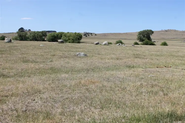Seventh view of Homely rural property listing, 5420 Kings Highway, Braidwood NSW 2622