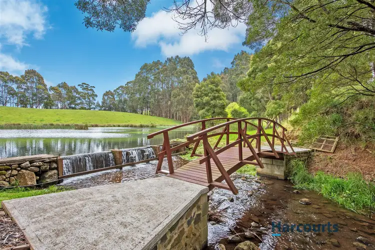 Fifth view of Homely rural property listing, 542 Nine Mile Road, West Pine TAS 7316