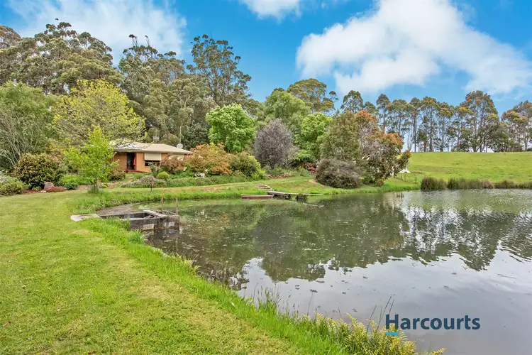 Sixth view of Homely rural property listing, 542 Nine Mile Road, West Pine TAS 7316