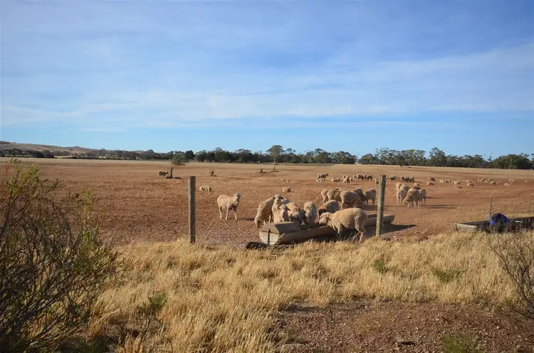 Main view of Homely rural property listing, Sections 14,15& 16 Towitta Road, Towitta SA 5353