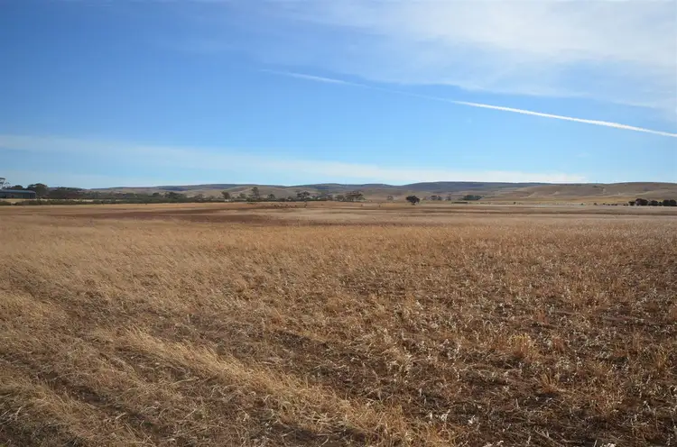 Third view of Homely rural property listing, Sections 14,15& 16 Towitta Road, Towitta SA 5353