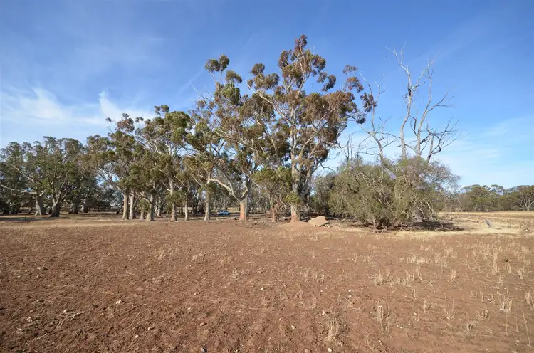 Fifth view of Homely rural property listing, Sections 14,15& 16 Towitta Road, Towitta SA 5353